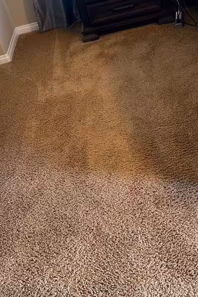 Heavenly Carpets Carpet Cleaning Service in Miami Beach
